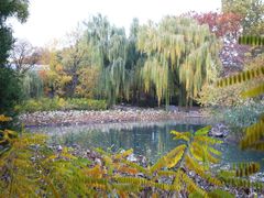 -北京动物园-畅观楼