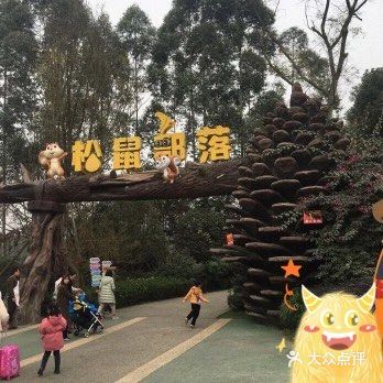 双流松鼠🐿️部落森林乐园 看小动物来这里准没错！