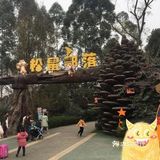 双流松鼠🐿️部落森林乐园 看小动物来这里准没错！