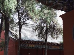 -洛阳白马寺