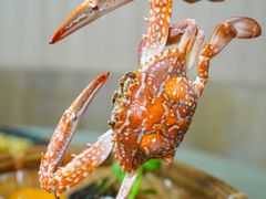 -巽寮印象美食部落餐厅·海鲜·地方特色菜(惠州体验店)