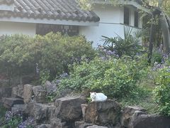 -无锡梅园公园