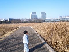 -尚贤河湿地