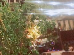 -ITA·意塔意大利餐厅(亦庄店)