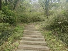 -绍兴镜湖国家城市湿地公园