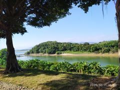 -福建鲤鱼洲酒店