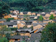 -杨家堂村