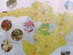 -广州市帽峰山景区