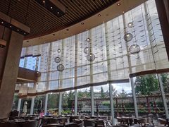 -百灵希尔顿逸林酒店大堂吧