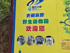 -青藏高原野生动物园
