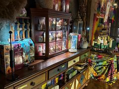 -雪灵魔法世界SHELLY’S TAROT(大良桂畔里店)