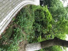 iphone_upload_pic-金鸡湖桃花岛