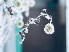 -彳亍咖啡·这里(水湾路店)