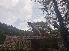 -木兰云雾山