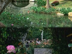 -人民公园(罗湖区)