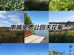 -南海子公园