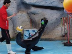 -泉州海丝野生动物世界