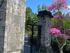 -九龙寨城公园