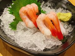 -Hatsune隐泉日式料理(SKP店)