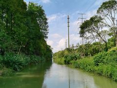 -上海长兴岛郊野公园