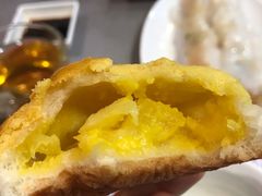 真系菠萝包-点点心点心专门店(旺角店)