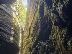 -梭布垭石林景区