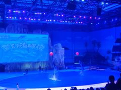 -华夏文旅海洋公园