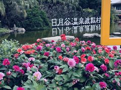 -厦门日月谷温泉渡假村