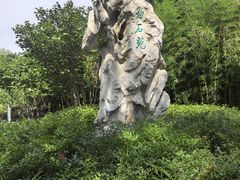 -皇家御河游(紫御湾码头)