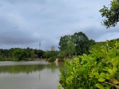 -八仙山公园