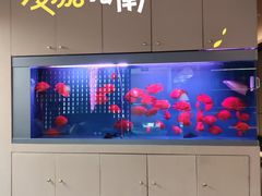 -宫七SPA·高端Massage(浦东大道店)
