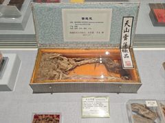 -北京中医药大学-中医药博物馆