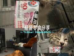 -柏萃动物医院·骨科·牙科