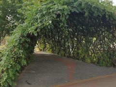 -莲花池公园