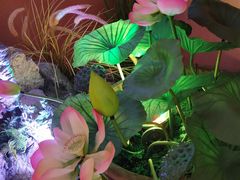 -巢爷老味(东方红店)