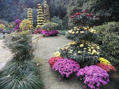 -杭州植物园