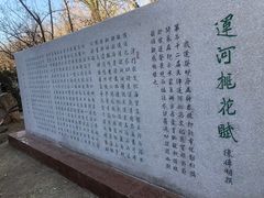 -桃花堤公园
