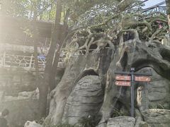 -巴倒烫陆派重庆火锅(南山店)