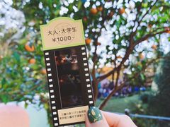 -三鹰之森吉卜力美术馆