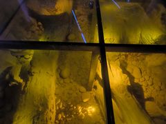 -乐山乌木文化博览苑