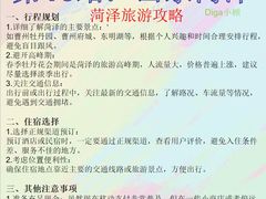 -曹州牡丹园