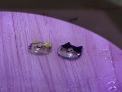 -馆陶手作坊DIY·陶艺·石塑粘土·石膏娃娃(车陂店)