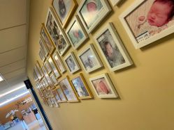 -杭州贝瑞斯美华妇儿医院·早孕·产检·儿科