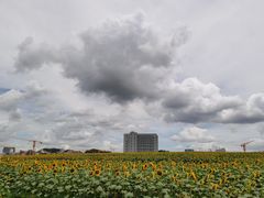 -光明小镇欢乐田园