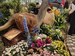 -沈阳植物园