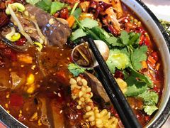 毛血旺-鲜螺湾(鹏欣丽都店)