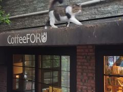 -旧雨咖啡·CoffeeFORU(黄村奥体店)