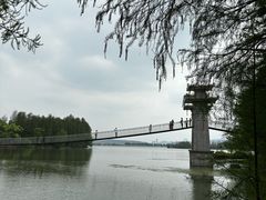 -东湖落雁景区