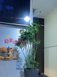 -MB·nail美甲美睫