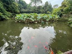 -成都杜甫草堂博物馆